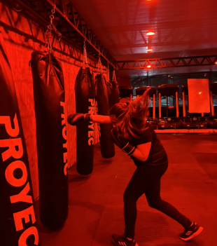 Captura de pantalla 2024-11-21 a la(s) 3.59.39 p. m.